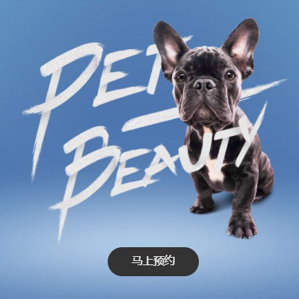 屯城镇宠物中心小程序开发