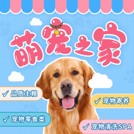 屯城镇萌宠之家小程序开发